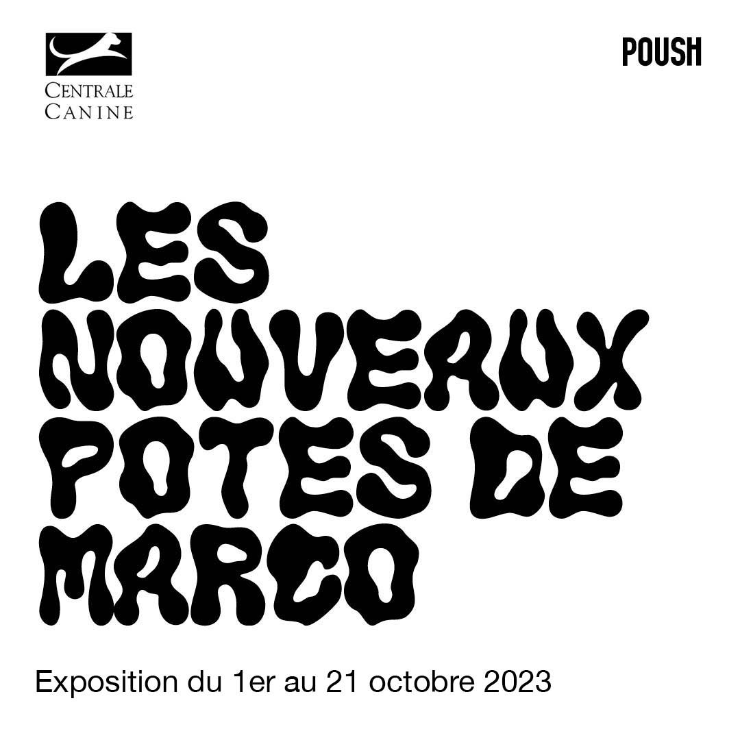 "Les nouveaux potes de Marco" exposition du 1er au 21 octobre 2023 sur fond blanc