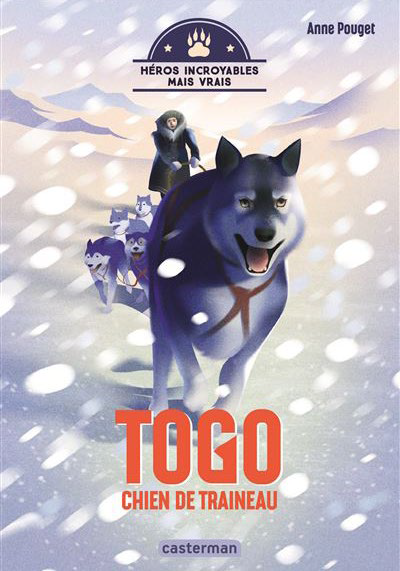 Illustration d'un chien de traîneau leader d'un traîneau dans la neige