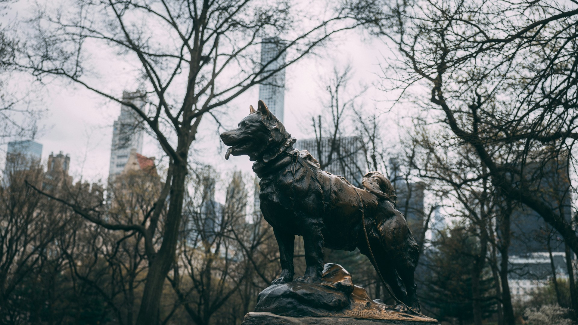 Un hommage à un chien en forme de statue