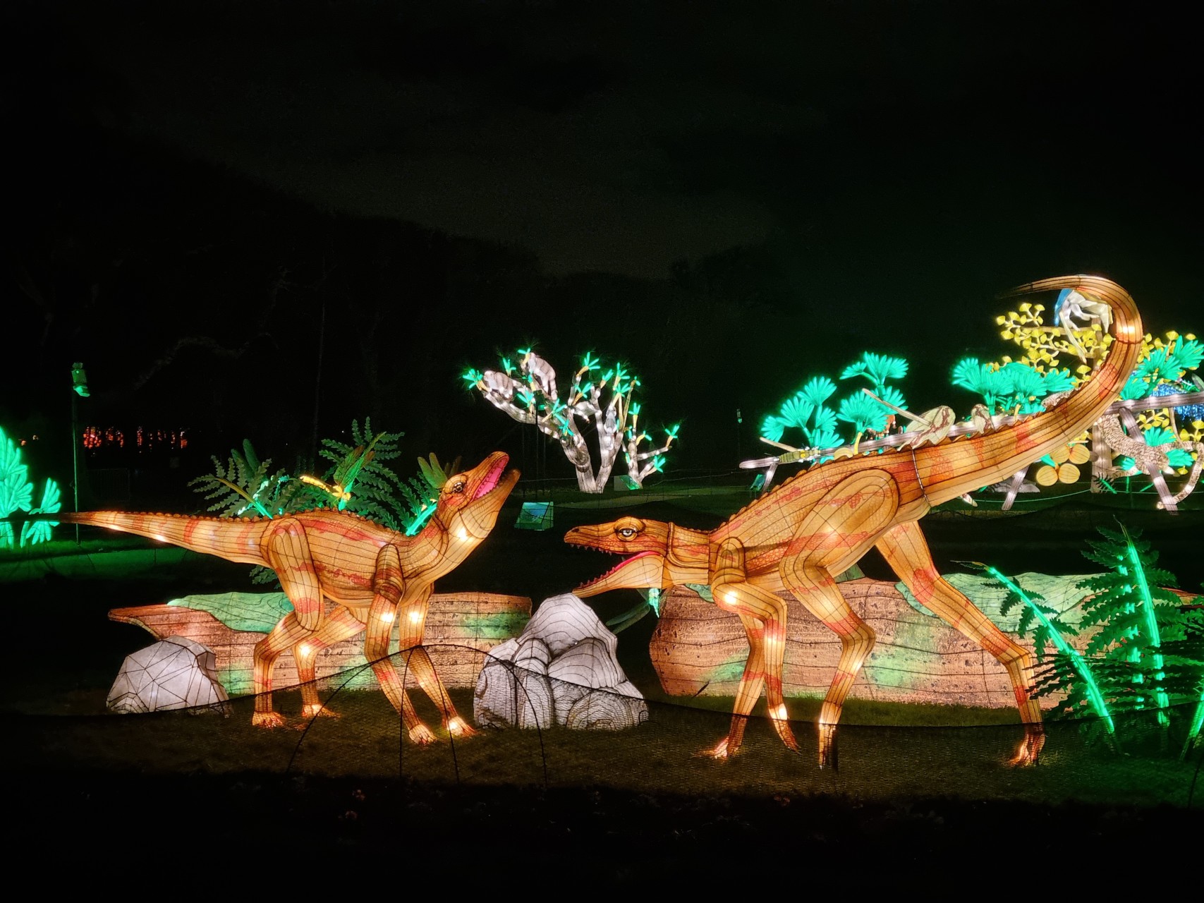 Jurassique en voie d'illumination - janvier 2025