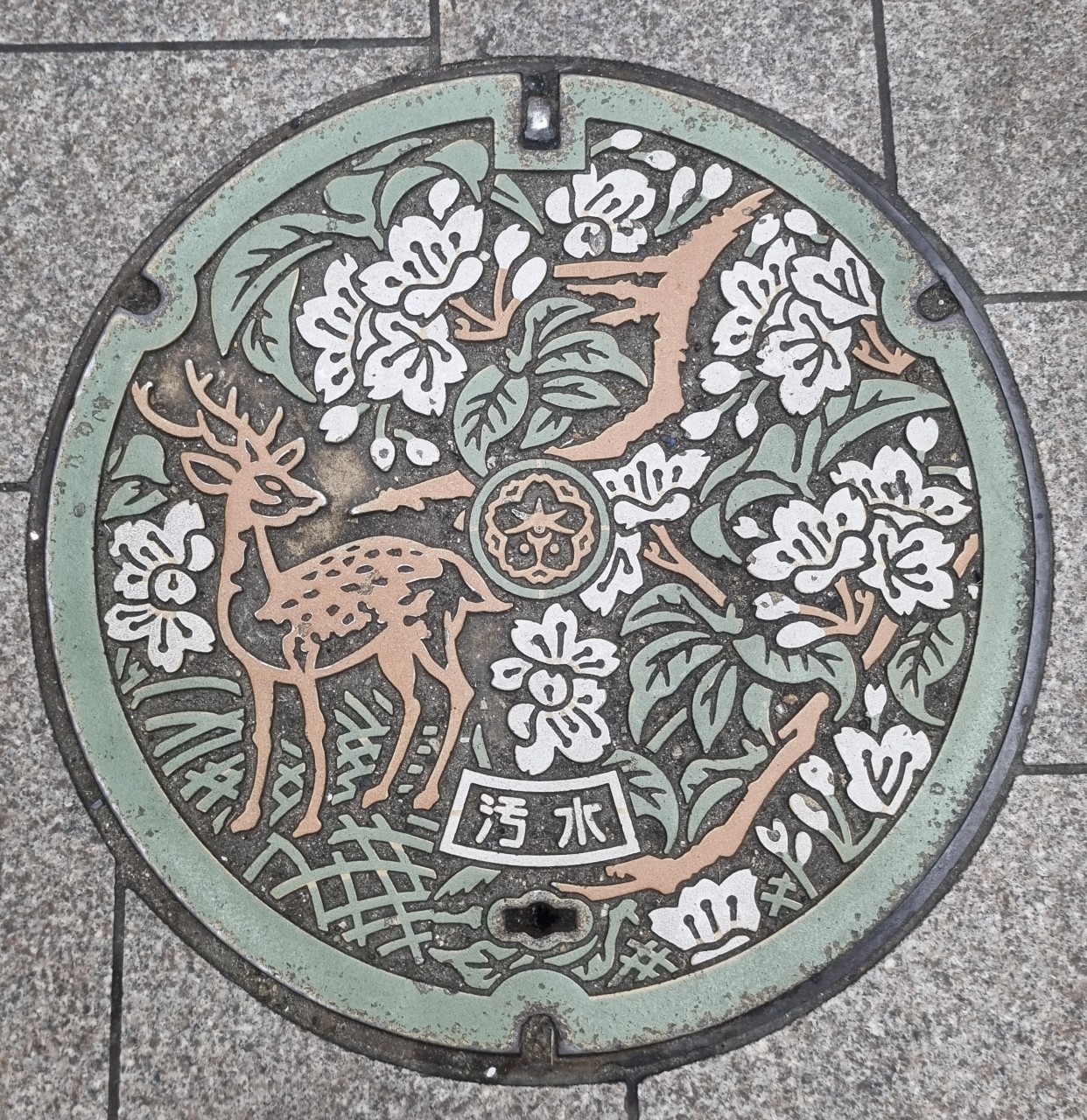 plaque d'égout dans les rues à Nara