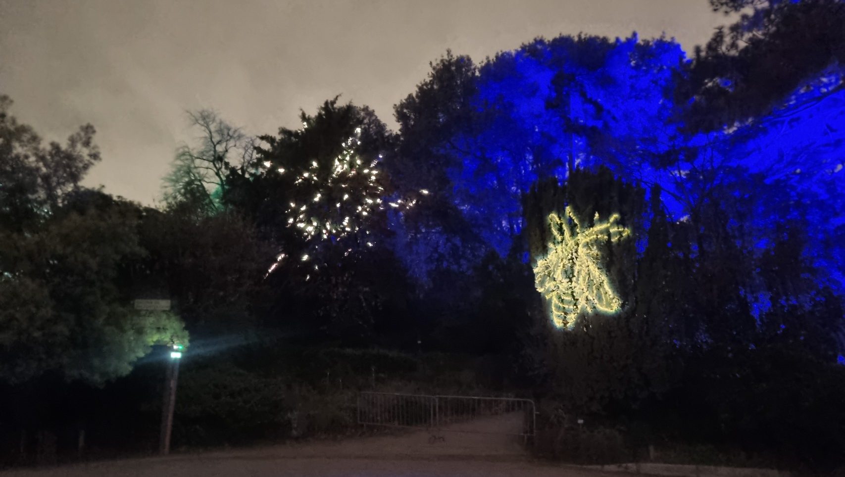 On observe les lucioles dans les arbres